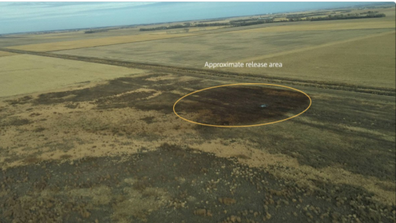 This image was shared by TransCanada on their Twitter profile to show the area affected by the oil spill.